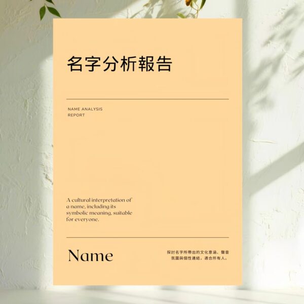 H65 名字分析報告